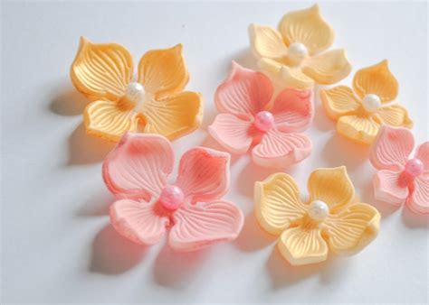 El Primer Paso Worksheet Answers - Printable And Enjoyable Learning