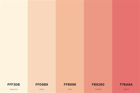 25+ Best Coral Color Palettes: Names and Hex Codes