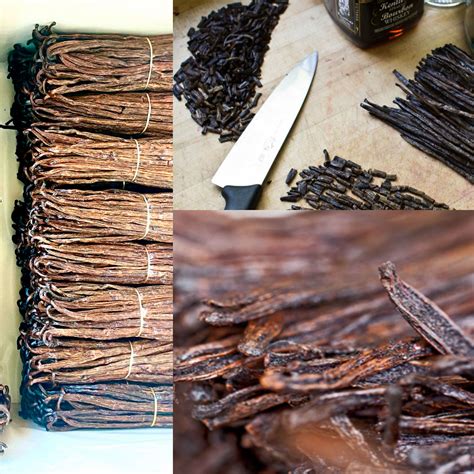 Buy Madagascar Vanilla Beans - Madagascar Bourbon Vanilla Beans Quarter ...