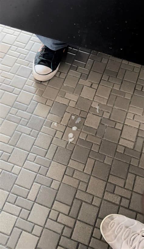 love jerking off the horny college guys on my campus | Scrolller