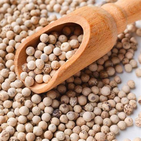 Organic White Pepper | Peppercorns Whole Seeds | Pure Natural Premium ...