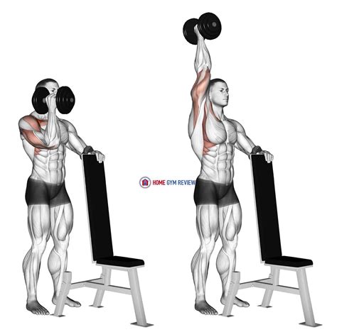 Dumbbell Standing One Arm Palm In Press - Home Gym Review