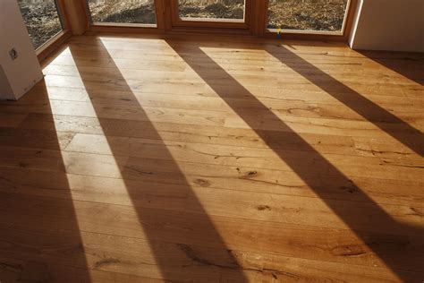 Are Engineered Hardwood Floors Good For Dogs