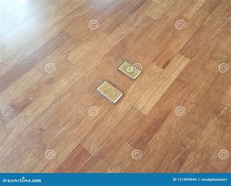 Popular Hardwood Floor Plugs You’ll Love