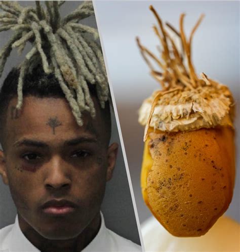 Was listening to XXX while cooking today.. had some leftover potato and onion.. : r/XXXTENTACION
