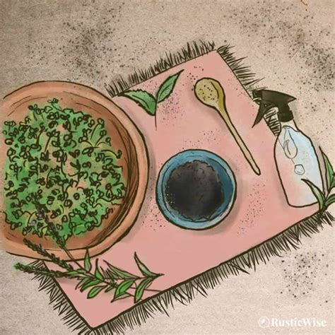 How To Sprout Flax Seeds Without Making a Gooey Mess – RusticWise