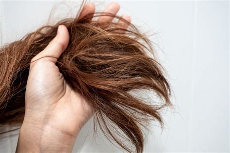 How to Treat Hair Breakage and Split Ends - ToniAndGuy.com.hk