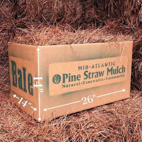 Longleaf Pine Straw Mulch Delivery - Bale Box (26"x14"x14") – SaltHay.com