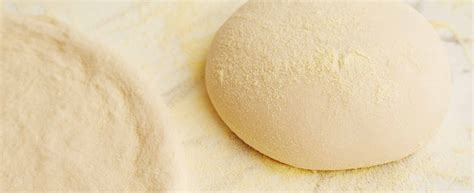 800 ディグリーズ ナポリタン ピッツェリア | 800 Degrees Neapolitan Pizzeria