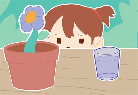 How does a plant drink? - stemeez