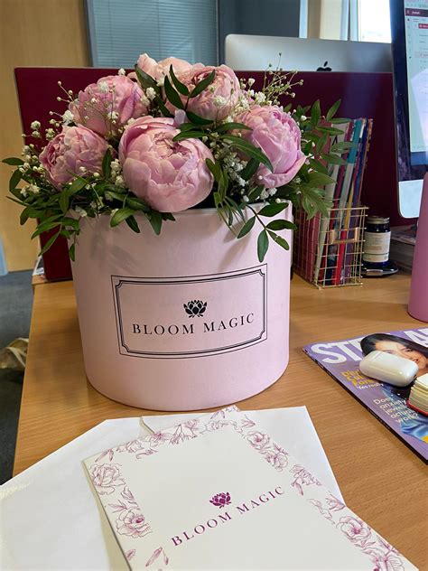 Everything Team STELLAR Is Loving This Week | Stellar