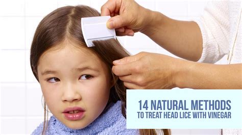 Does Neem Treatment Work for Head Lice?