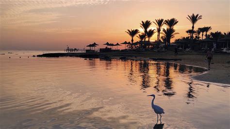 Qué ver y hacer en Mar Rojo - Guía de viajes Barceló