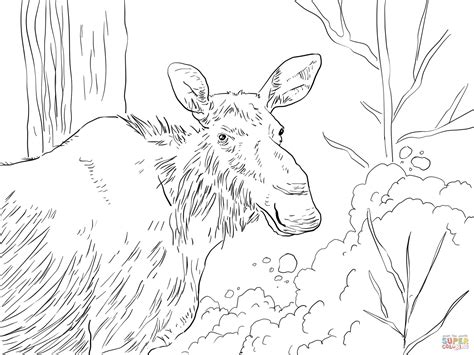 Moose & Elk: Coloring Pages & Books - 100% FREE and printable!