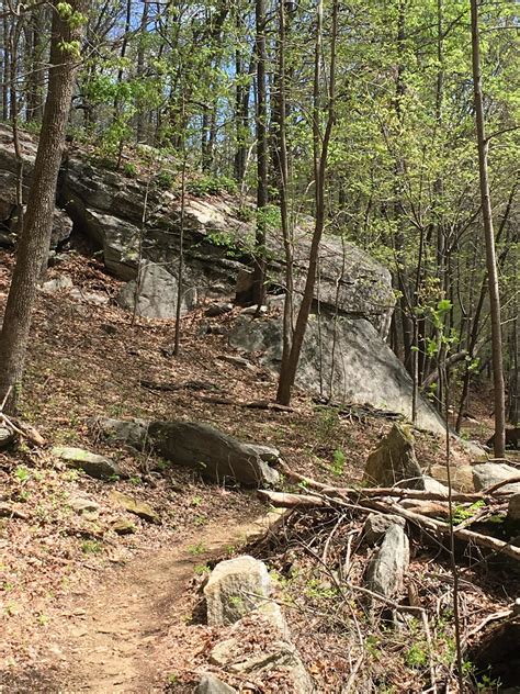 Buffalo Creek Park: The Head, The Heart & The Tail (HHT) Mountain Bike ...