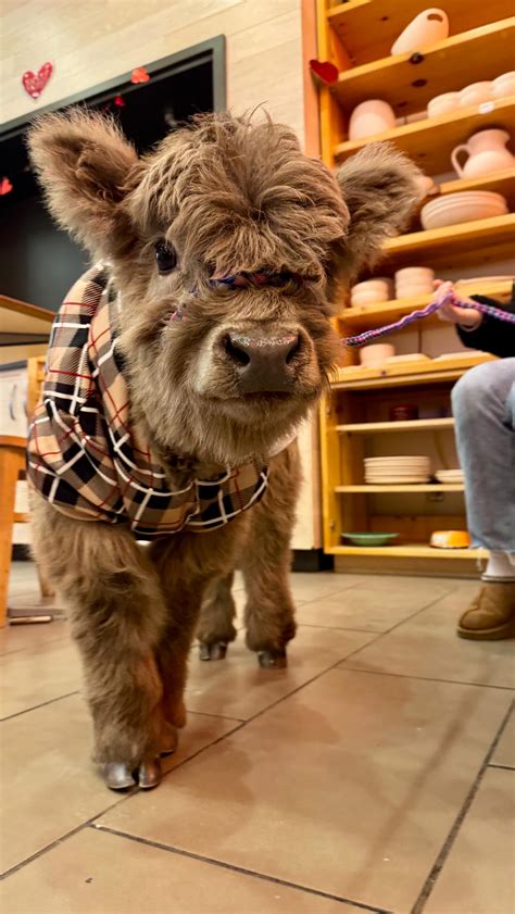 Ranch By The Beech | Alright Who’s in? Planning a trip to West Edmonton Mall, swing by for a ...