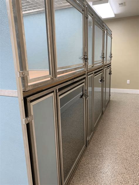 Pet Boarding Services - All Paws Retreat