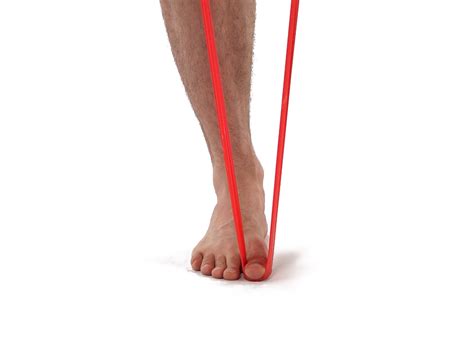 Posterior Ankle Impingement Exercises for Dancers | Strive ...