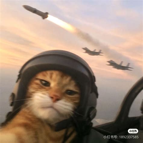 Profile picture: Discover 94 hard pfp ideas on this Pinterest board ...