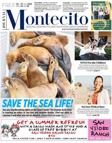 Malibu Strings Competition Lisa Batson