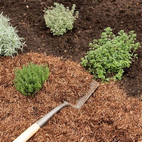 What is mulching and what are the benefits of doing it? | Ideal Home