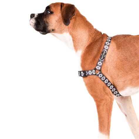 Indy Dog Front Clip Harness - Dog-Collars, Leads & Harnesses-Harnesses ...