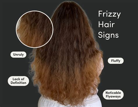 Dry Hair vs Frizzy Hair: Are They Different & How to Treat Them – Pump ...