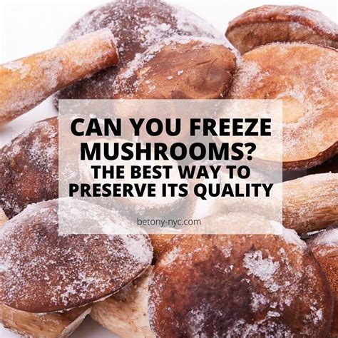 Can You Freeze Mushrooms? The Best Way to Preserve Their Nutrients