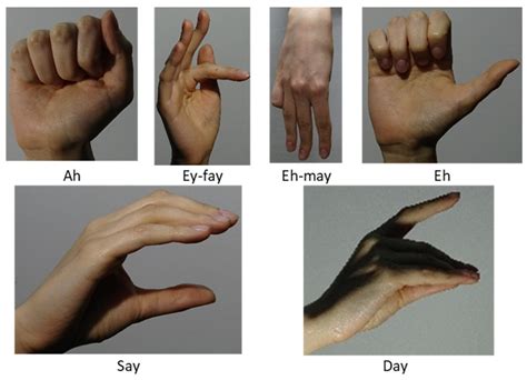 A Machine Learning Based Full Duplex System Supporting Multiple Sign ...