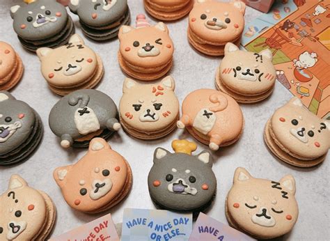 Pikarar — Honey & Butter Macarons