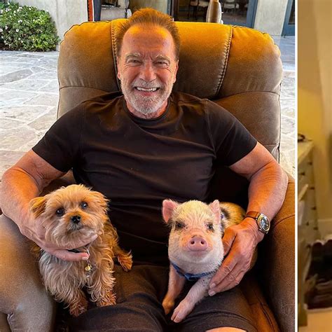 Casa De Arnold Schwarzenegger Casa Museo Arnold Schwarzenegger A Thal