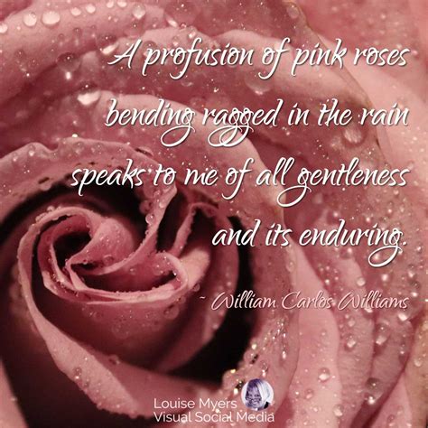 100 Pink Quotes You'll Love: Powerful, Positive, and Pretty | LouiseM