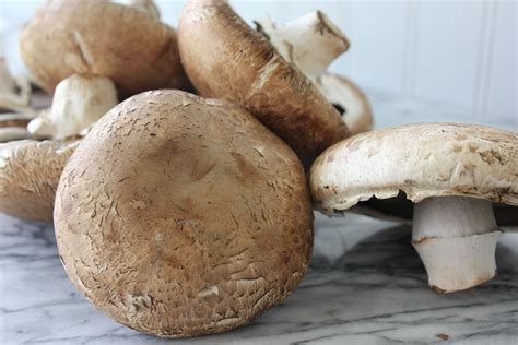 How To Grow Portobello Mushrooms Inside - Dunya led