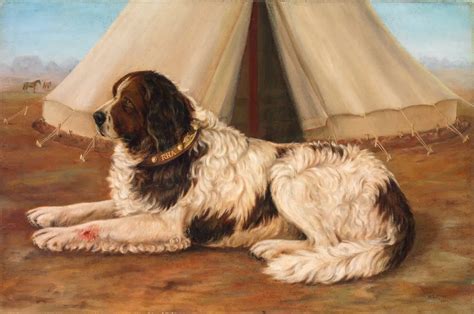 Animals in war | WM