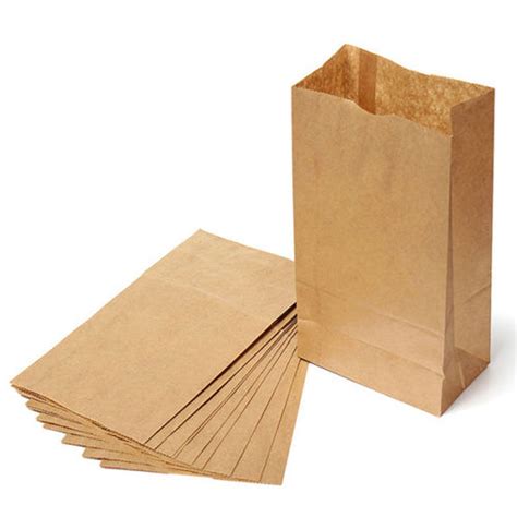 30 Brown Paper Lunch Bags, Snack Bags, Kraft Paper Merchandise ...
