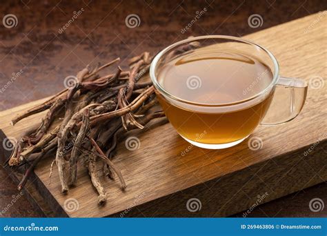 Organic Sarsaparilla Medicinal Hot Drink - Smilax Aspera Royalty-Free ...