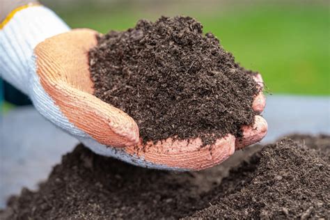 How To Spread Peat Moss Over Grass Seed | Storables