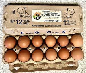 Rhode Island Red Hatching Eggs - Healing Homestead Store