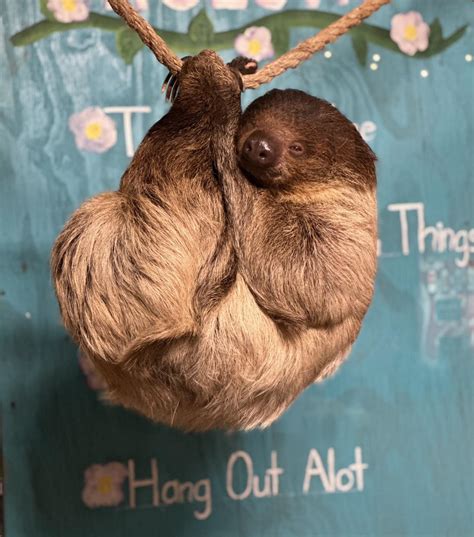 Clear Creek ISD - Parents, students, staff and community members are ...