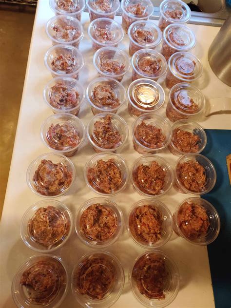 Homemade Cat Food - 3 DIY Recipes That Are Healthy for Cats! - Floppycats™