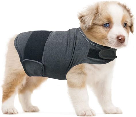 ZDWQFA Dog Thunder Jacket, Anxiety Calming Vest, Gray Fabric Wrap for ...