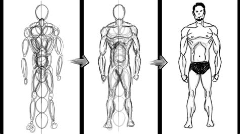 How to draw a basic Human Figure Using Circles Only - Photoshop - Easy Anatomy Drawing Tutorial ...