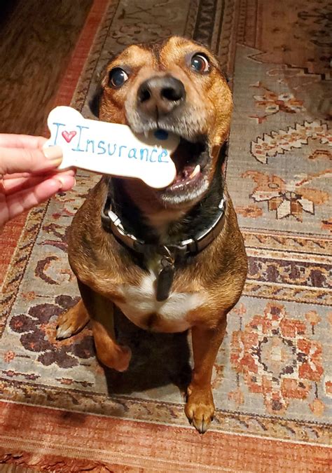 Rob Pollitt on LinkedIn: Getting this picture was no easy task. Had a ...