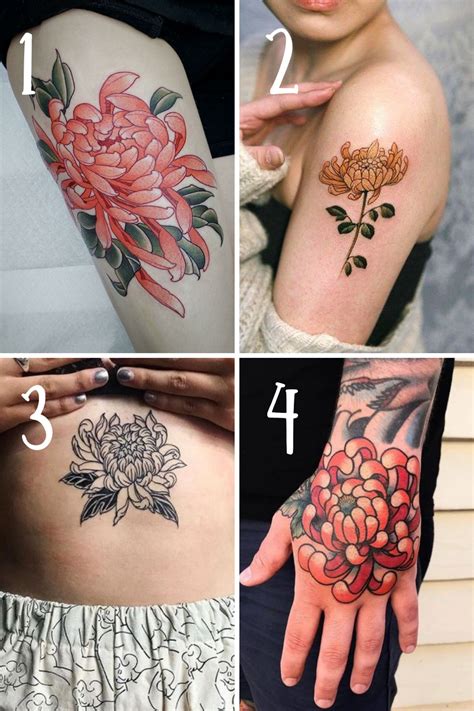 November Birth Flower The Chrysanthemum Tattoo | Best Flower Site