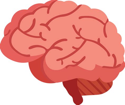 Explore 3,561+ Free Brain Illustrations: Download Now - Pixabay