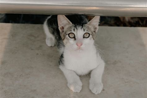 Panties+Down+And+Bend+Over Photos, Download The BEST Free Panties+Down ...