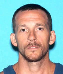 Chad Garnett Wilkinson - Sex Offender in Fowlerville, MI ***** ...