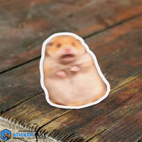 Scared Hamster Meme Sticker Meme Sticker Funny Sticker - Etsy Canada