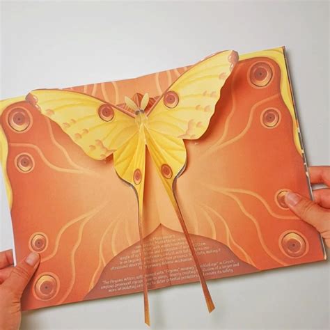 Moths diy pop up book – Artofit