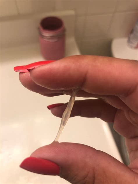 Egg White Cervical Mucus